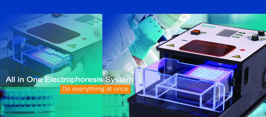 All in one electrophoresis system